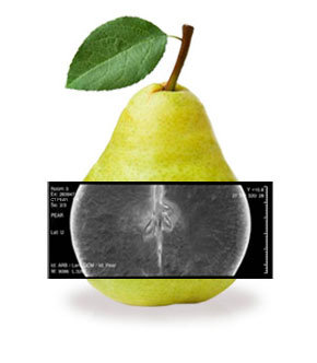 CT Pear